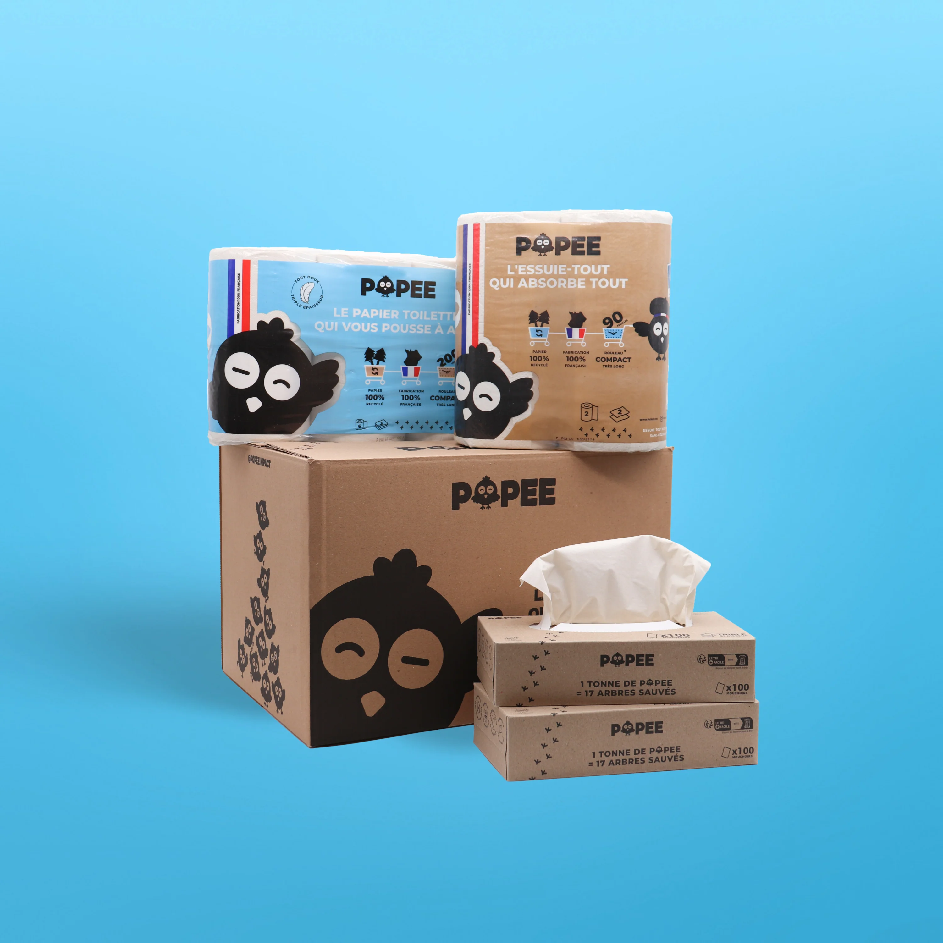 KIT DÉCOUVERTE - Papier toilette, essuie-tout, mouchoirs - Image 11